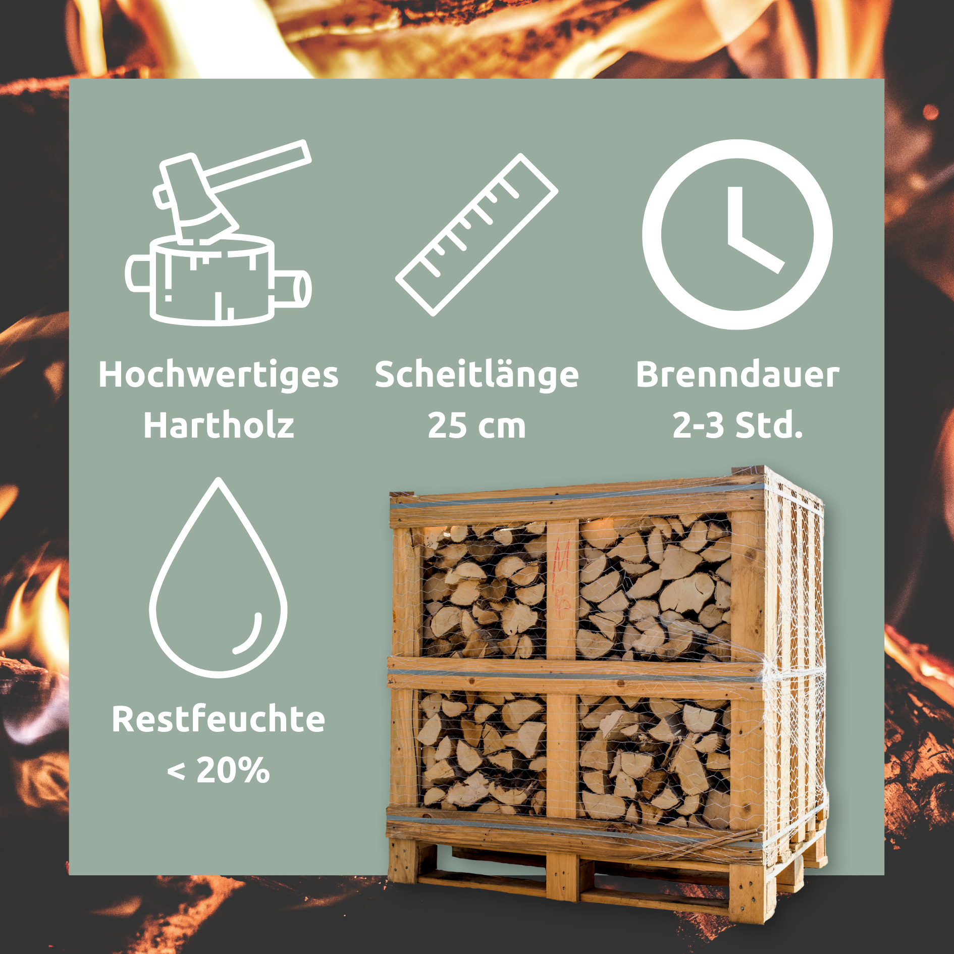 Brennholz Mischholz 30kg im Karton