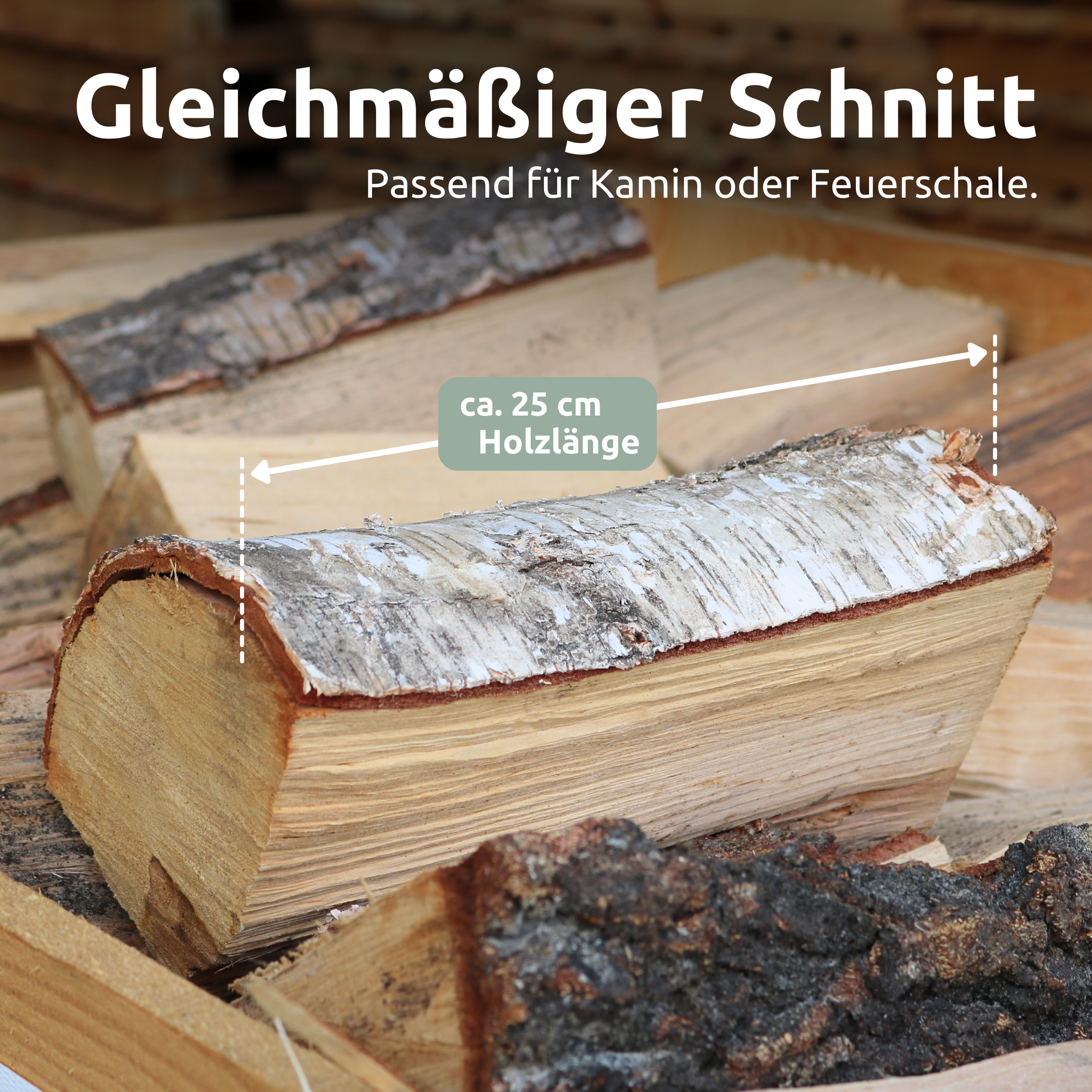 Brennholz Mischholz 30kg im Karton