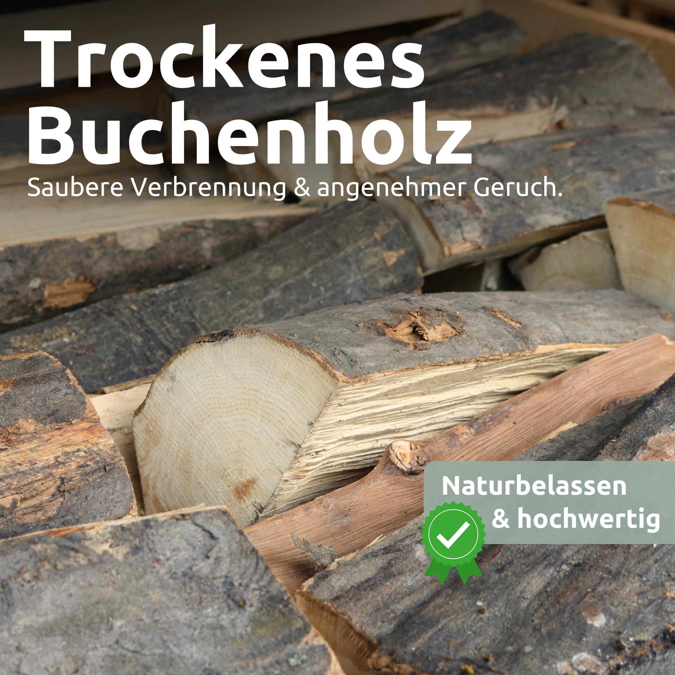 Brennholz Hainbuche Kammergetrocknet 25 cm 1RM/ 1,6 SRM