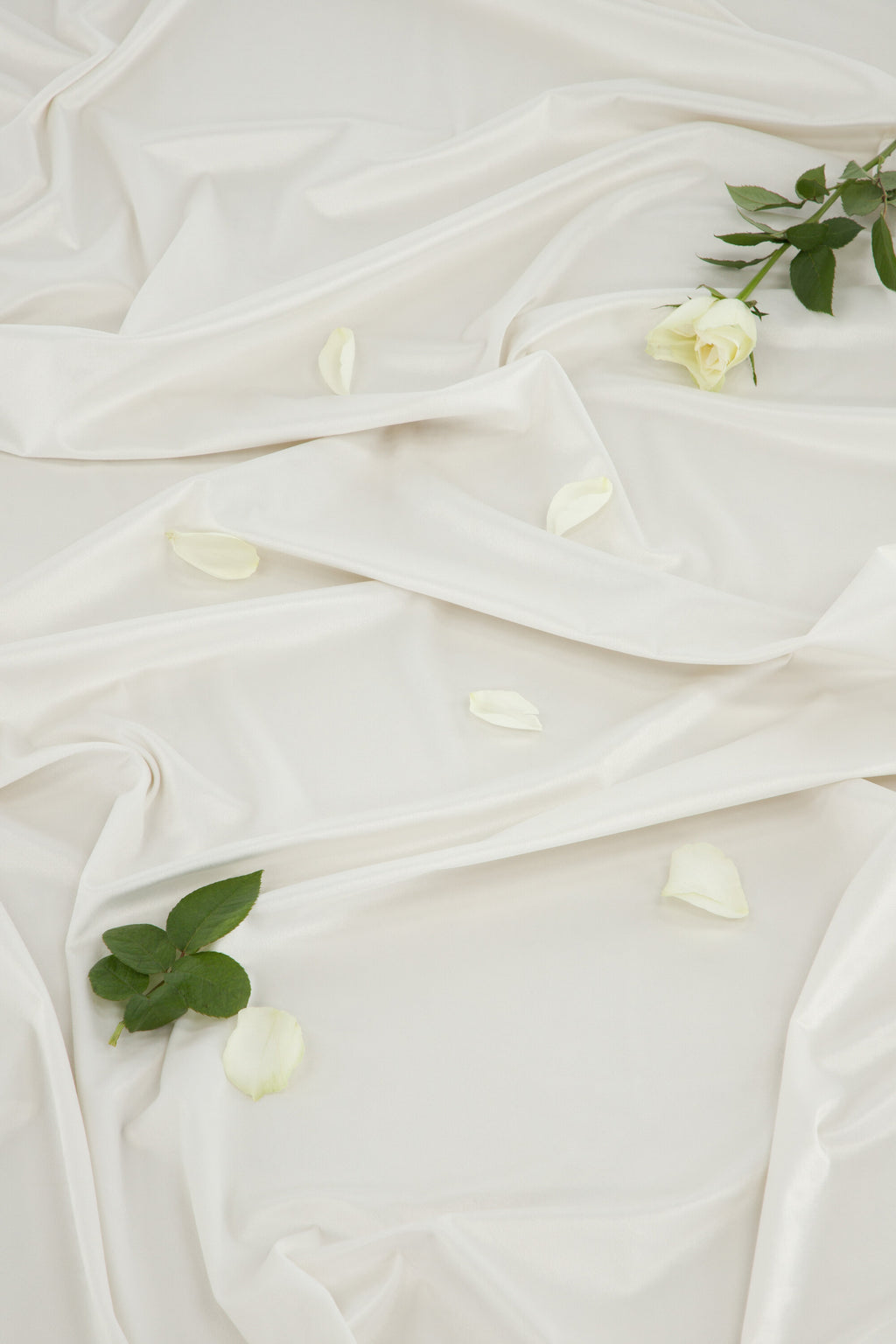 15925-701__003 Mary Vorhang Vorhang