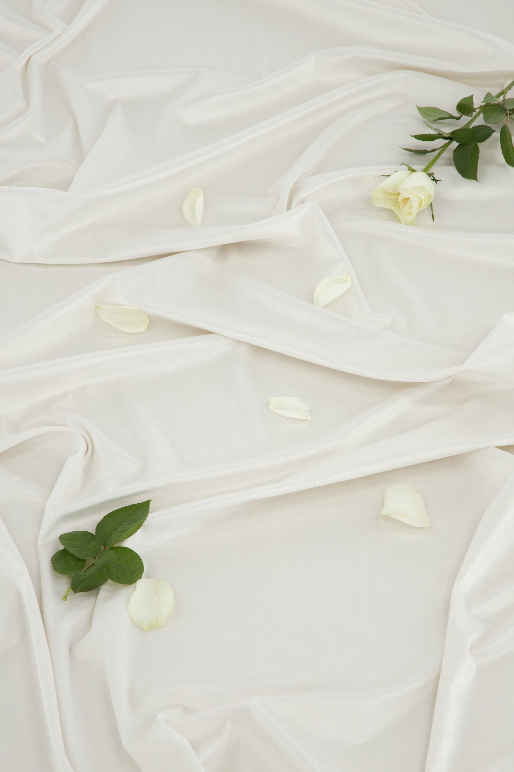 15925-701__003 Mary Vorhang Vorhang