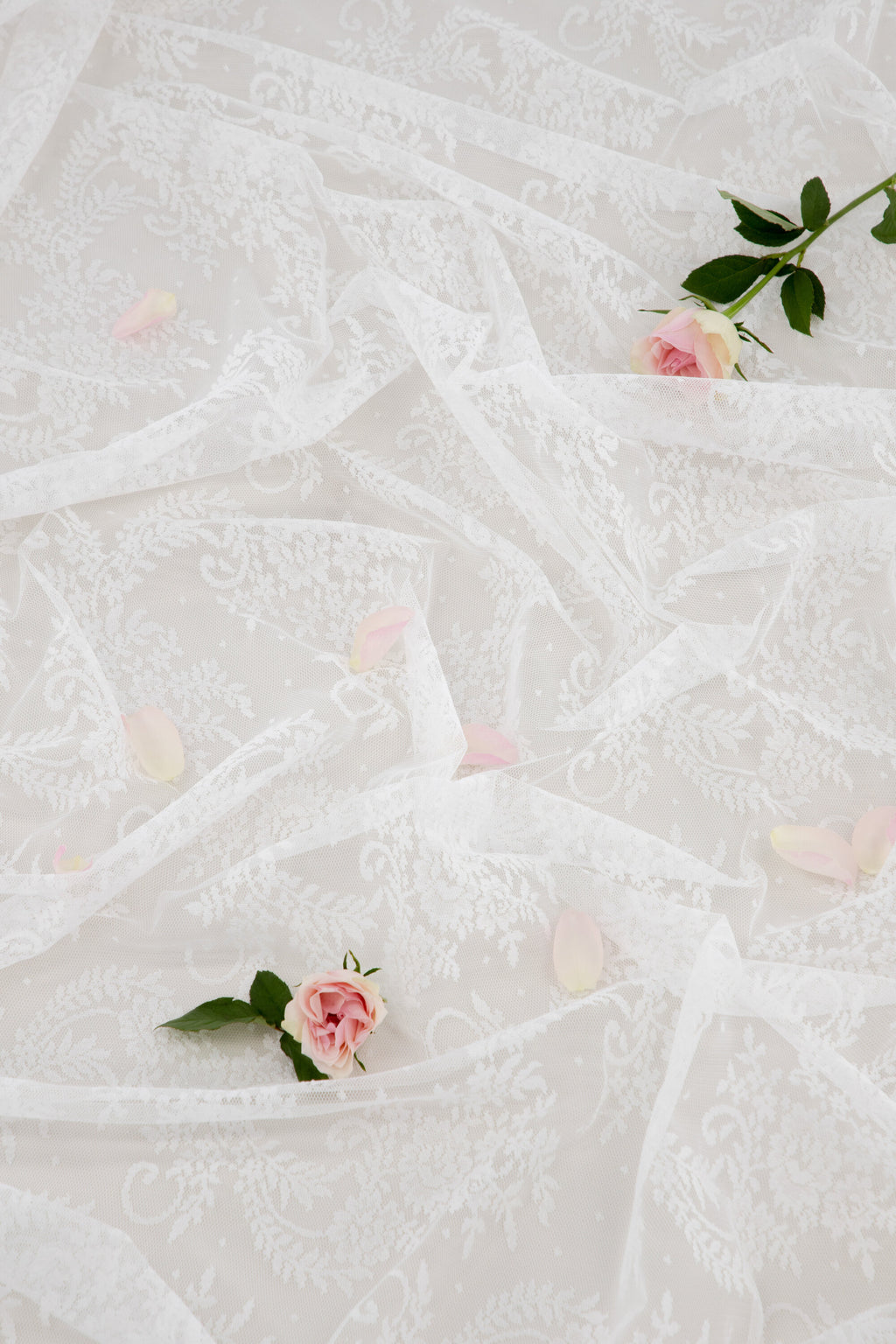 15926-801__003 Daisy Vorhang Vorhang