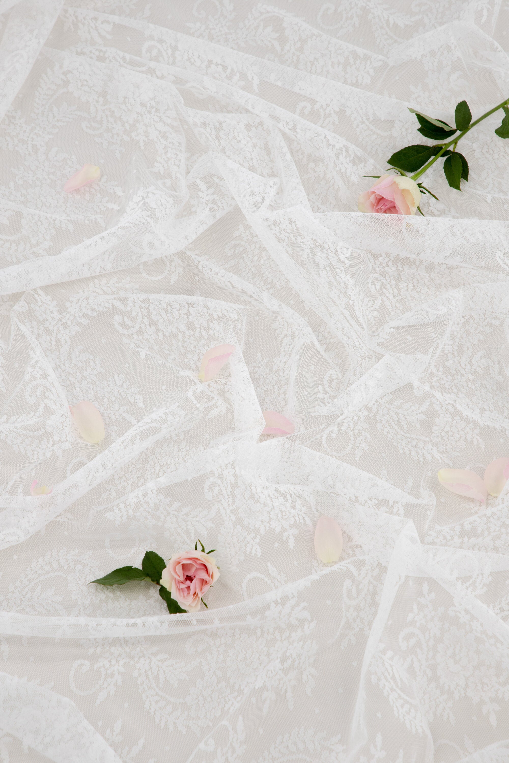 15928-801__003 Daisy Vorhang Vorhang