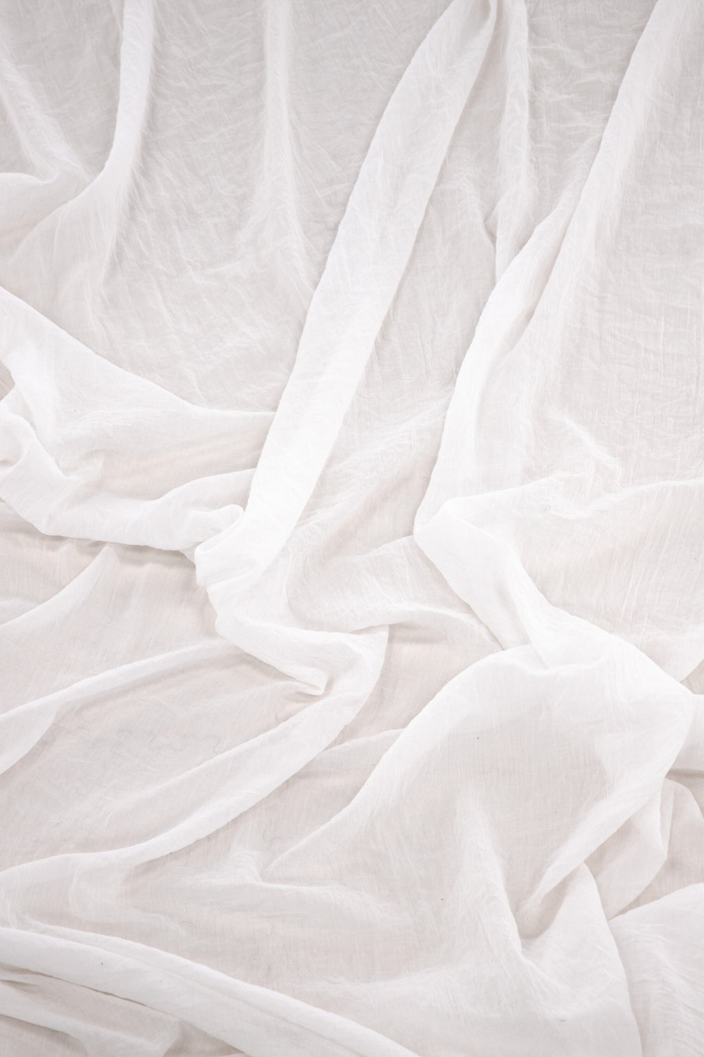 15931-501__002 Elena Vorhang Vorhang