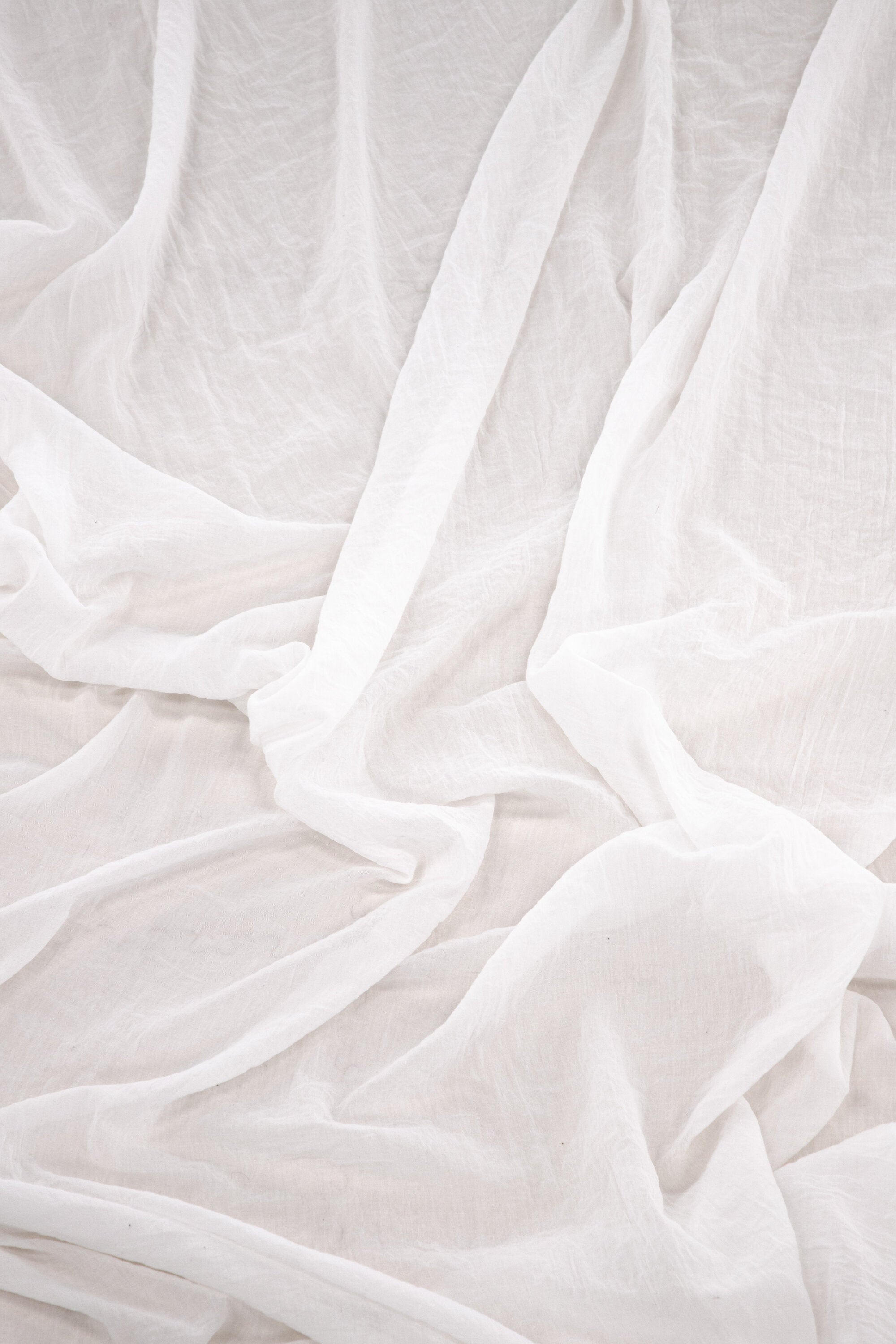 15932-501__002 Elena Vorhang Vorhang