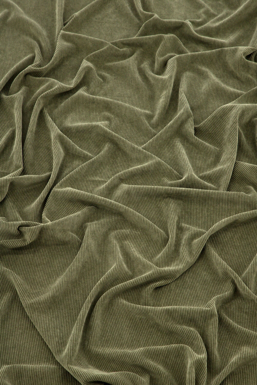 15935-504__001 Elma Vorhang Vorhang