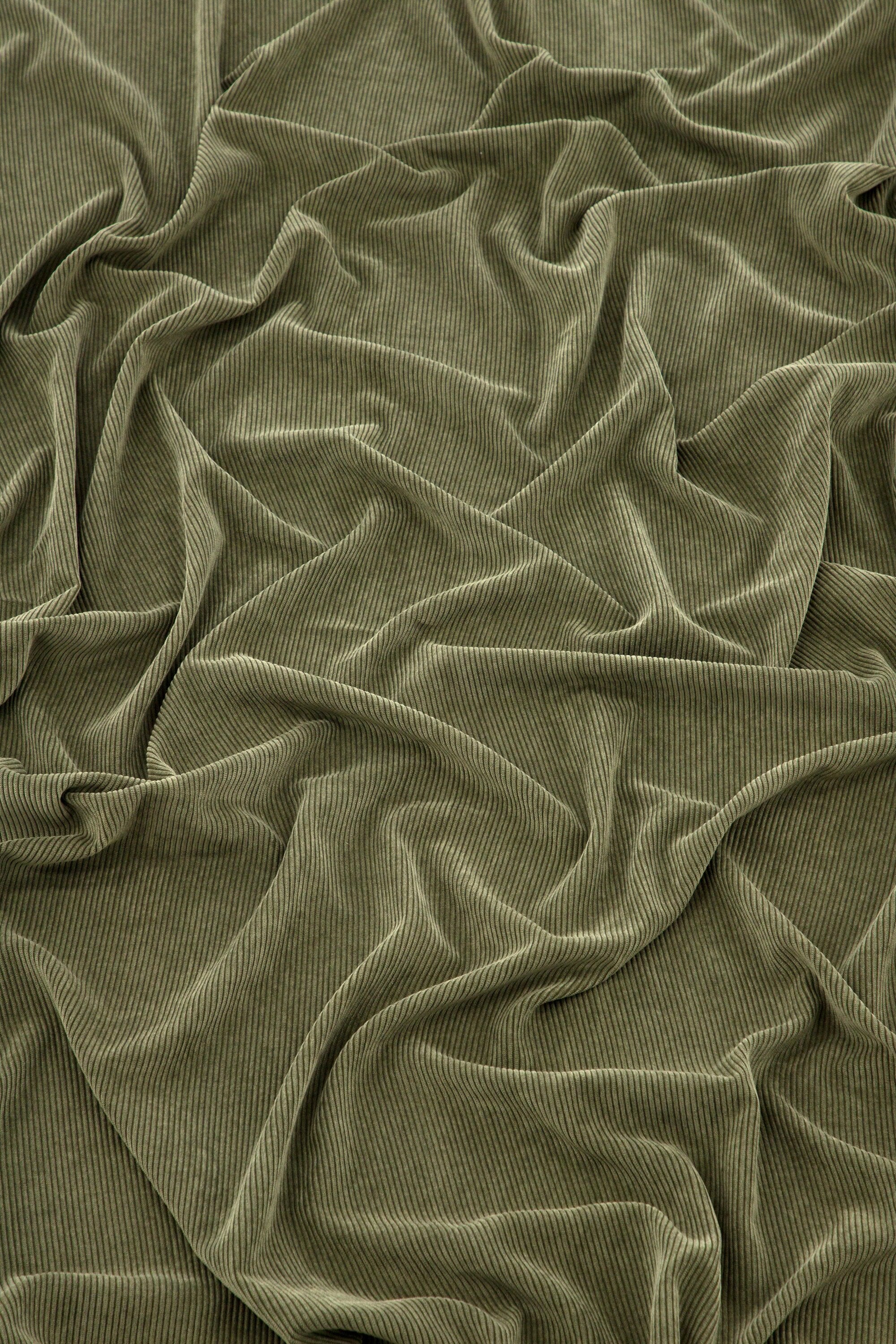 15935-504__001 Elma Vorhang Vorhang