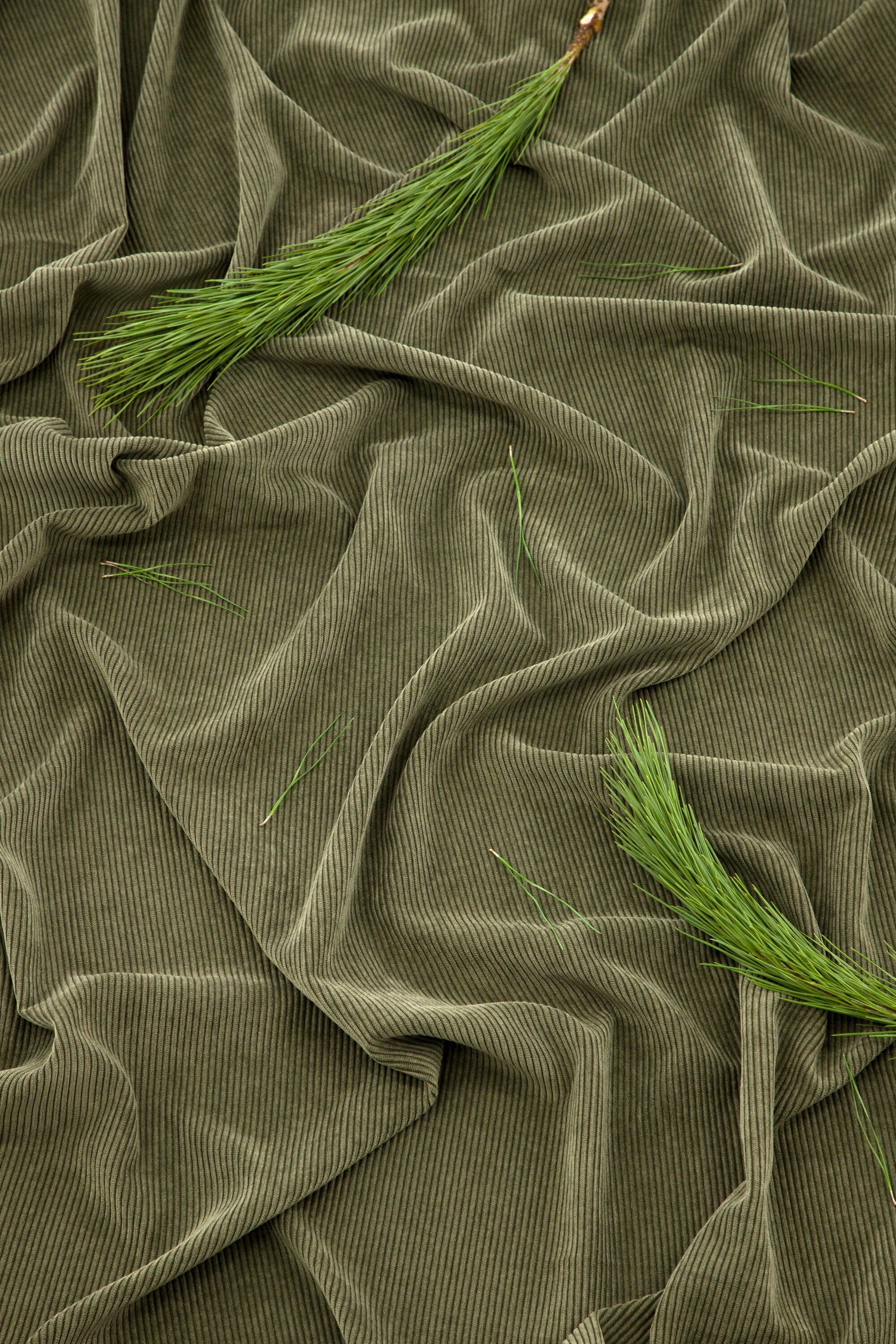 15936-504__003 Elma Vorhang Vorhang