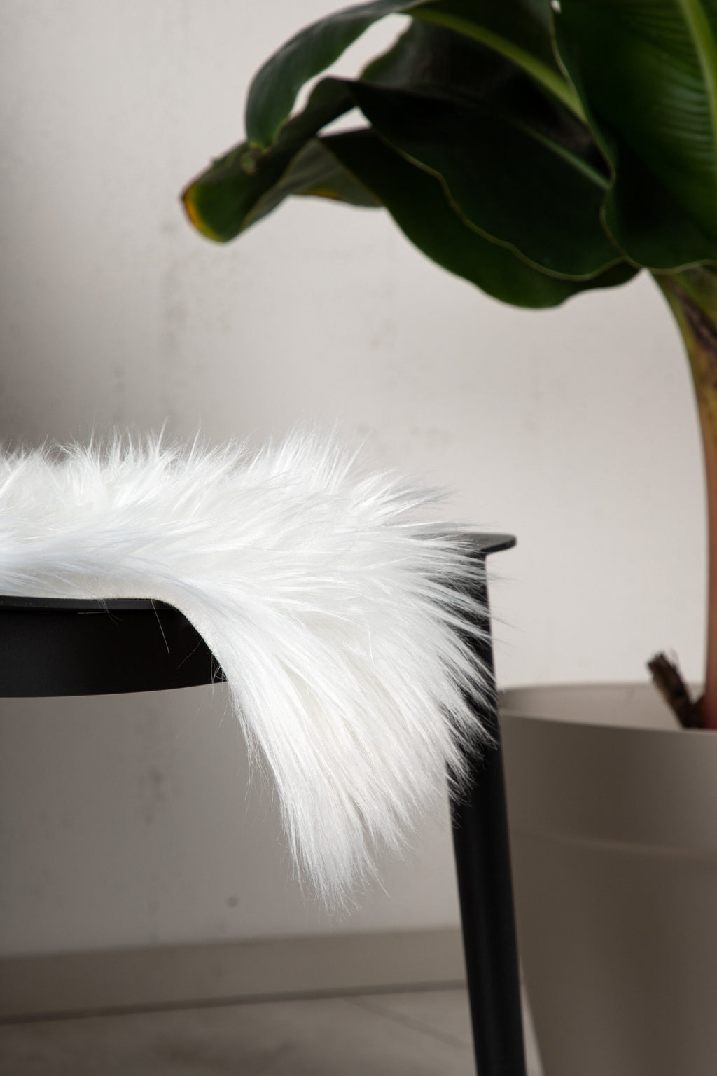 15937-301__005 Katy Schafsfell Decke