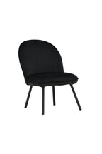 Polar Lounge Chair
