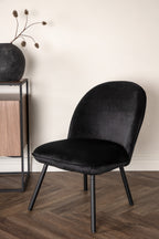 Polar Lounge Chair