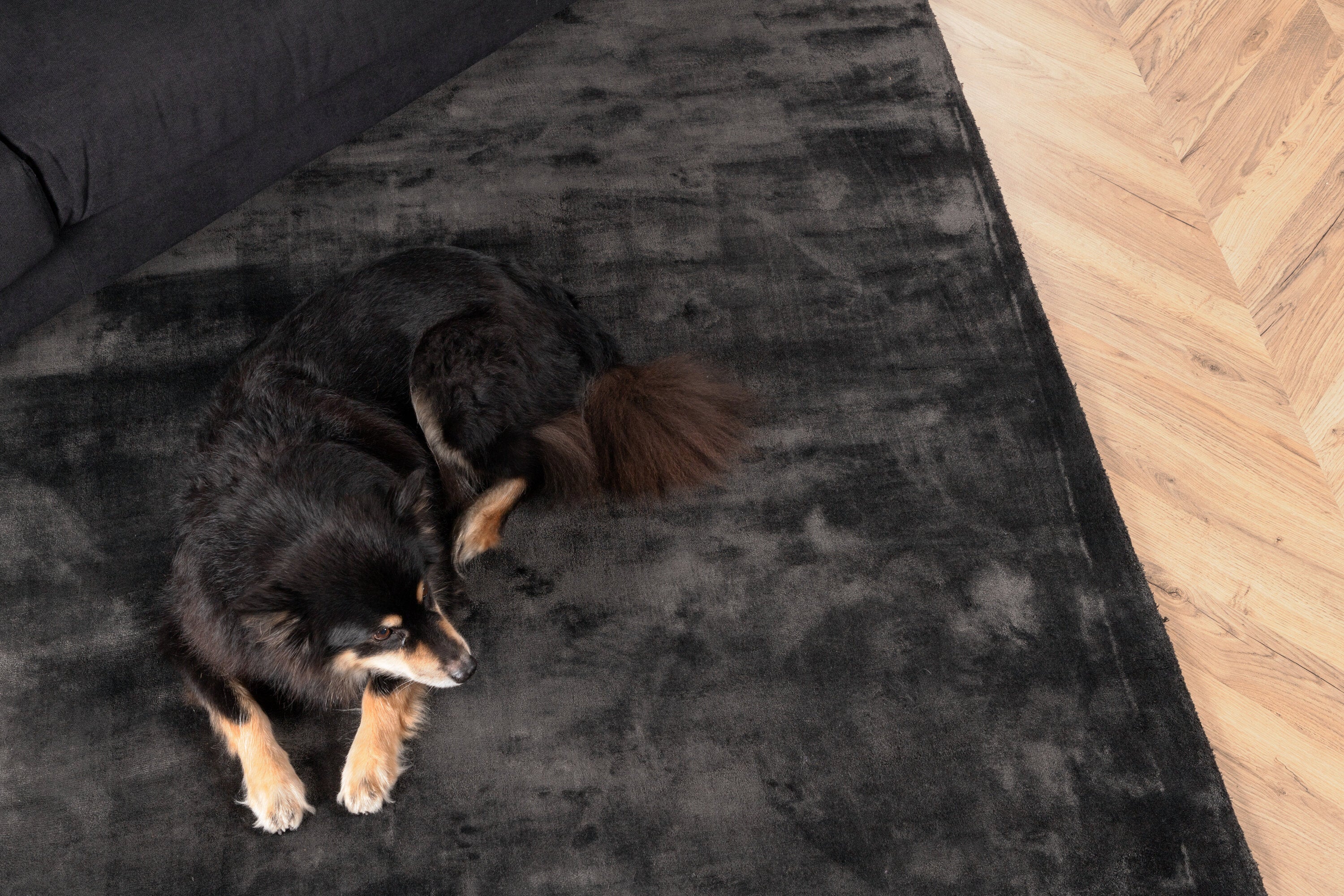 19974-335__10 Indra Teppich Wohnzimmerteppiche