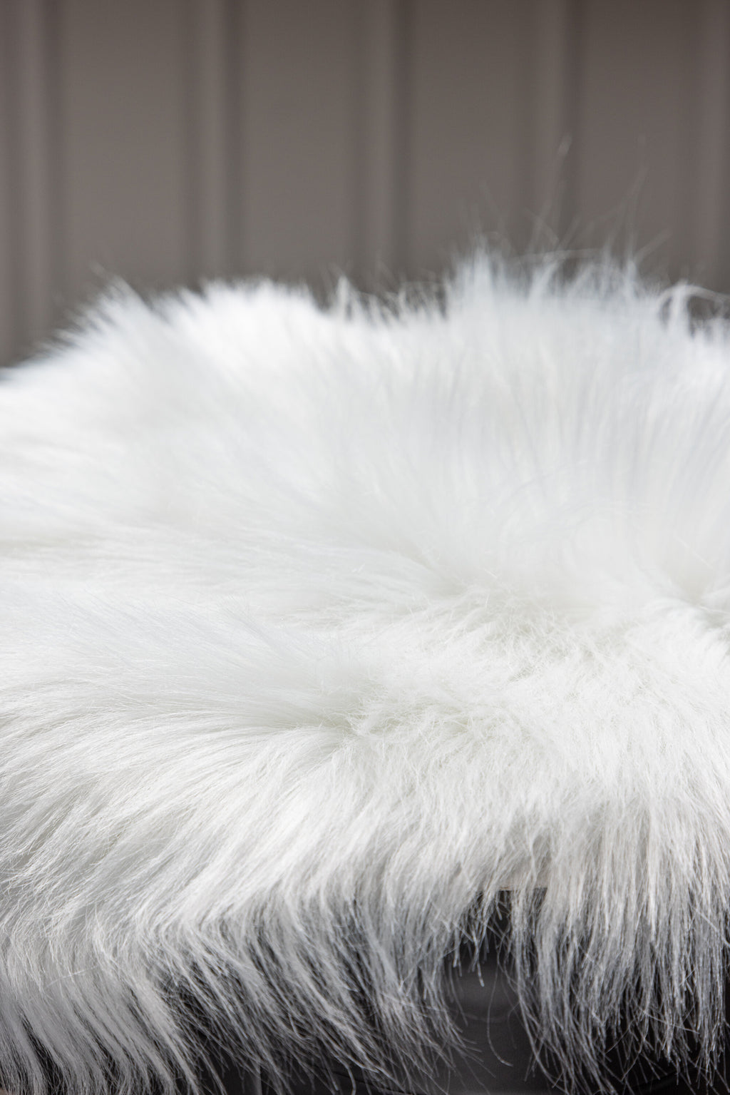 19992-101_3_m Katy Kissen Polsterstuhl