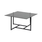 29997-685__2 Hybrid Sofa Table Couchtisch Schwarz,Grau 80 x 80 Glas,Stahl