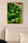 Grünes Blatt Poster