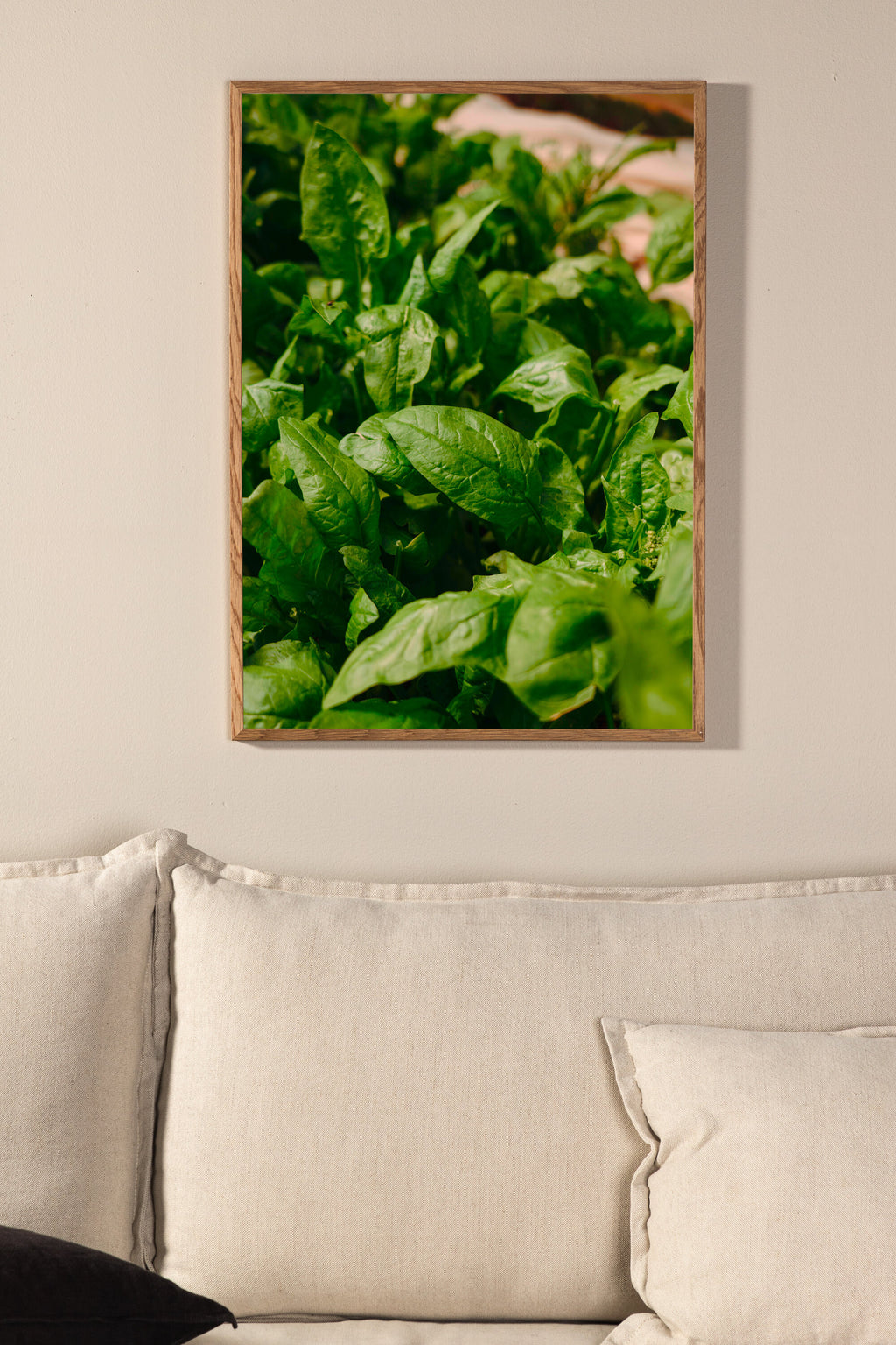 Grünes Blatt Poster