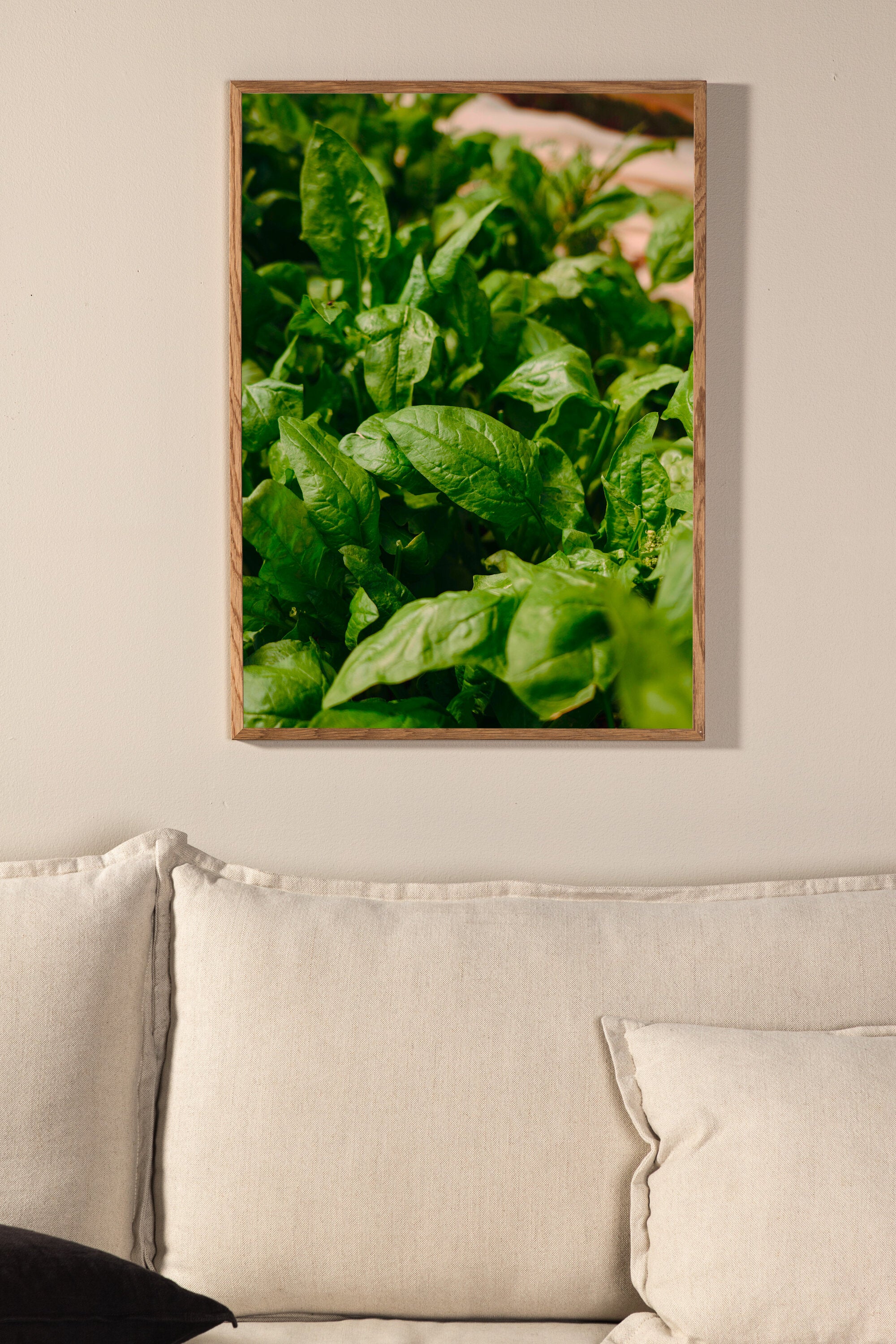 Grünes Blatt Poster