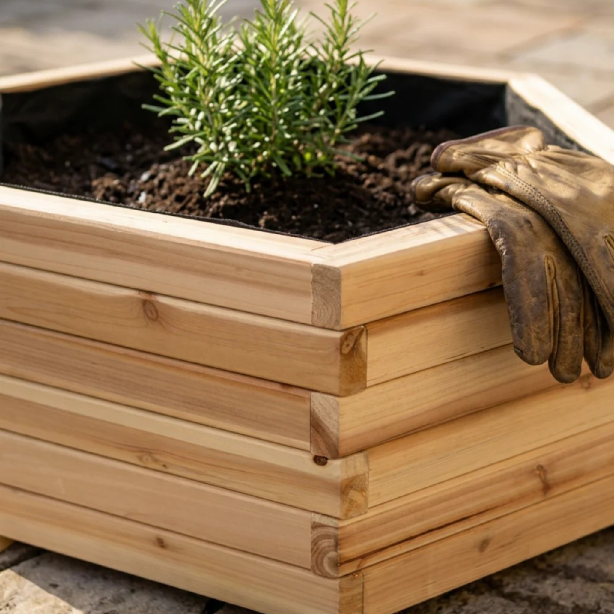 Anwendung_mit_Rosmarin Outdoor Pflanzenkübel 6-eckig aus Kiefernholz