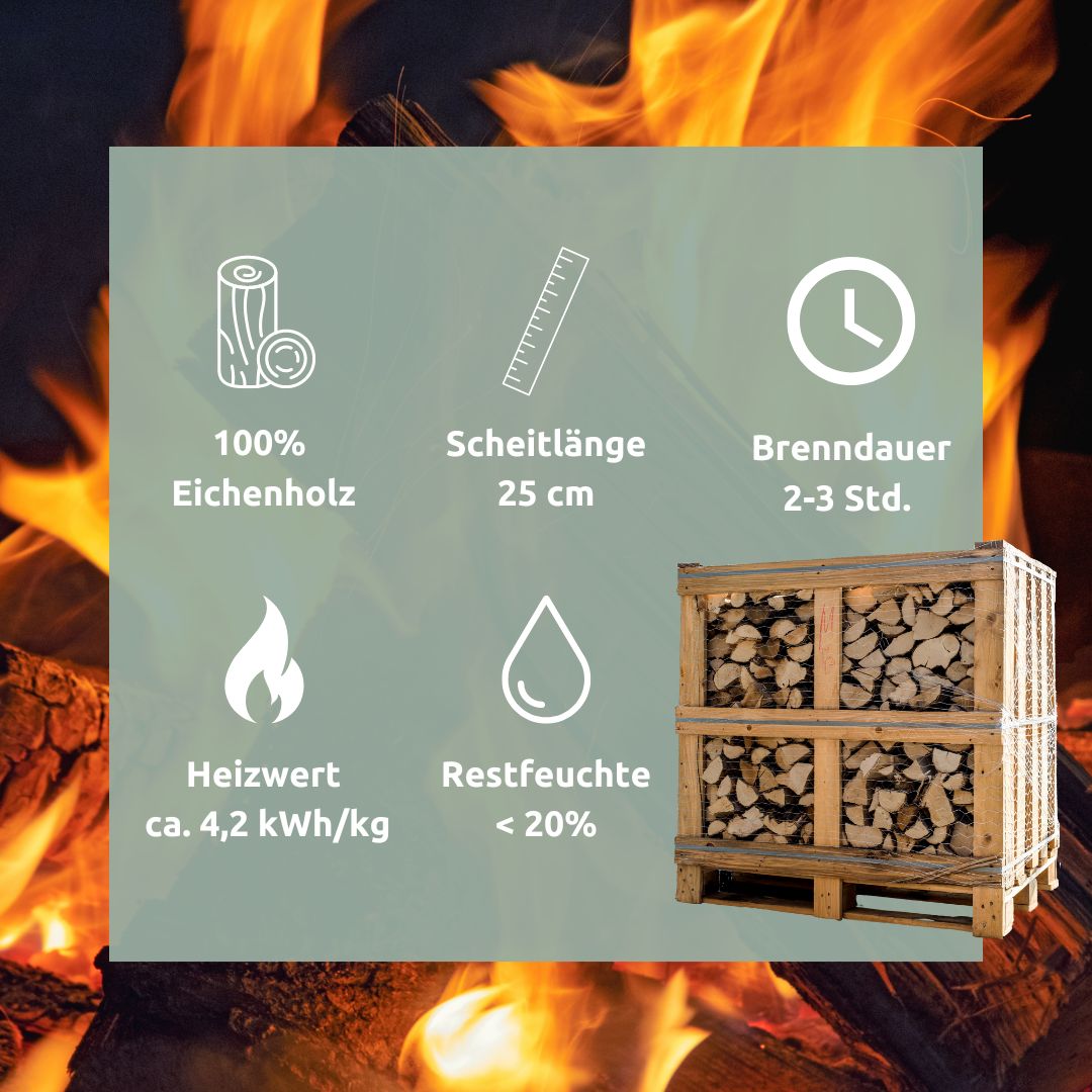 Brennholz Eiche Kammergetrocknet 25 cm 1RM/ 1,6 SRM