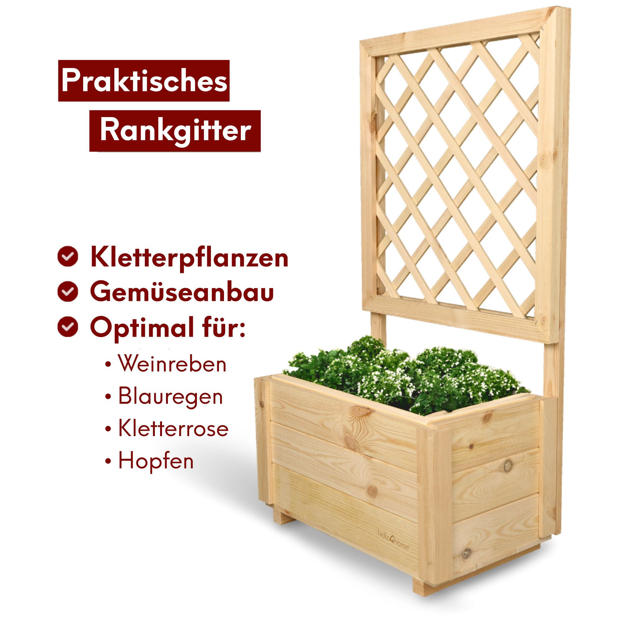 Pflanzkasten mit Rankgitter / Spalier aus Kiefer Größen  S / M / L