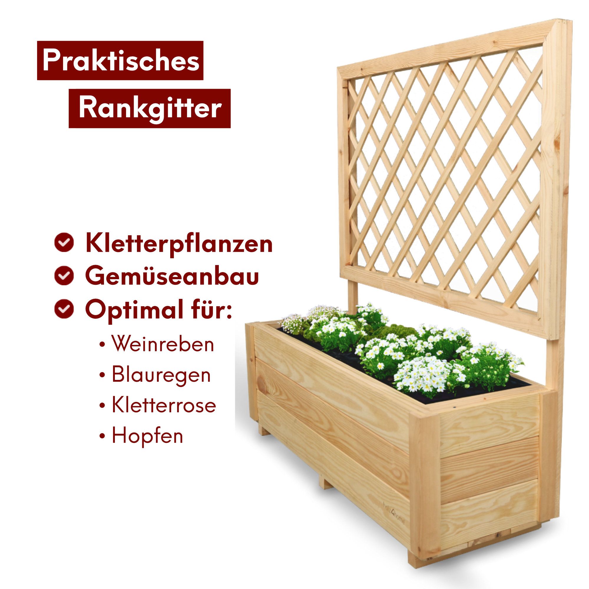 Pflanzkasten mit Rankgitter / Spalier aus Kiefer Größen  S / M / L
