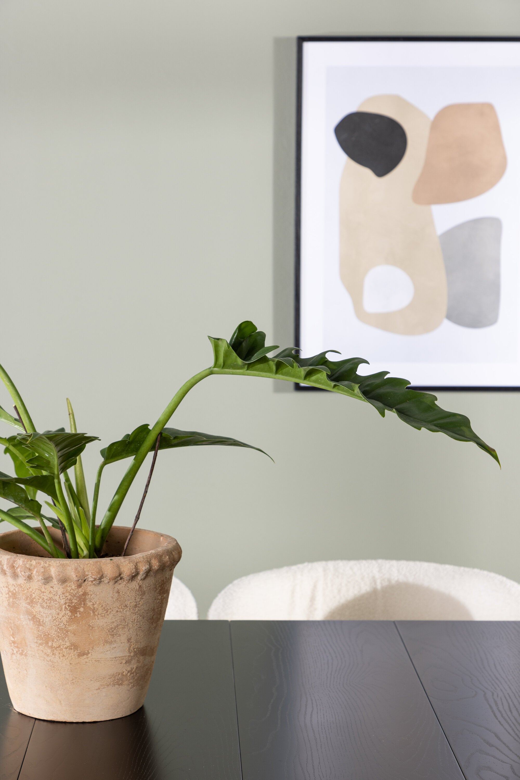 gr23511_6_m Esszimmer Set Astrid Mit Den Stühlen Edina Rechteckiges Essgruppen Set