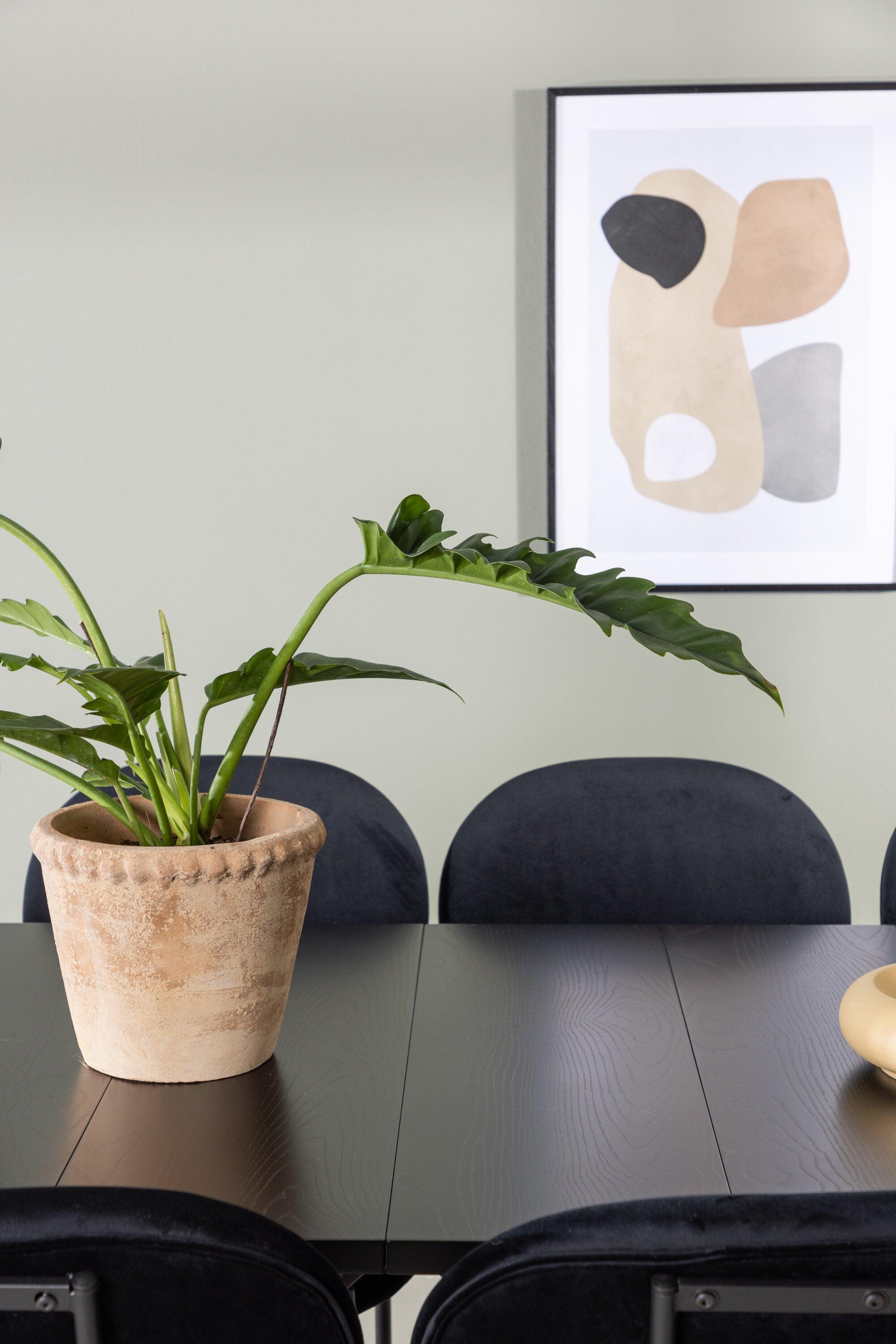 gr23516_6_m Esszimmer Set Astrid Mit Den Stühlen Stella Rechteckiges Essgruppen Set