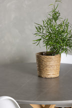 gr23746_5_m Essgarnitur Piazza Mit Den Stühlen Zeno Rundes Essgruppen Set