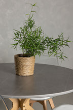 gr23748_5_m Dining Set Piazza Mit Den Stühlen Edvin Rundes Essgruppen Set