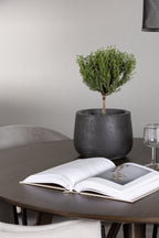 gr23851_5_m Essset Kaseindon Mit Den Stühlen Evelina Rundes Essgruppen Set