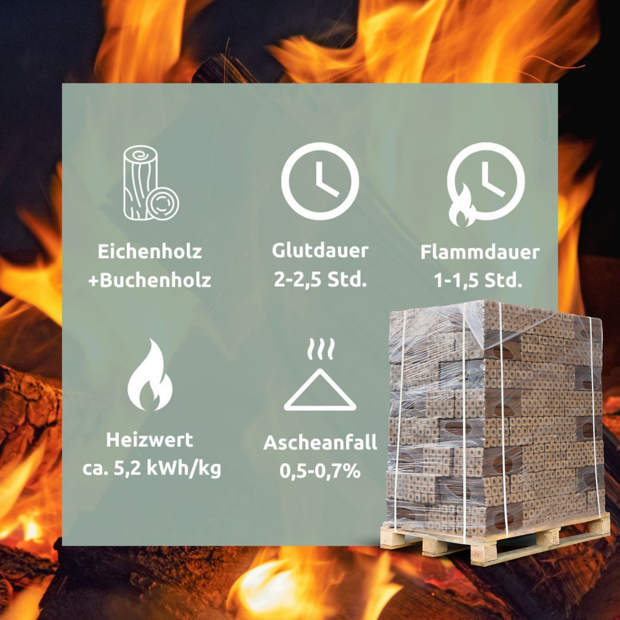 Pini Kay Eichenbriketts 100% ohne ZusätzePalette je 960 kg