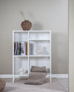 s_15357-201__2__content Misha Shelf Regal